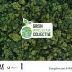Green Wholesale Collective launched to promote sector sustainability