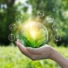 Consumers expect business to lead on sustainability – report