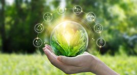Consumers expect business to lead on sustainability – report