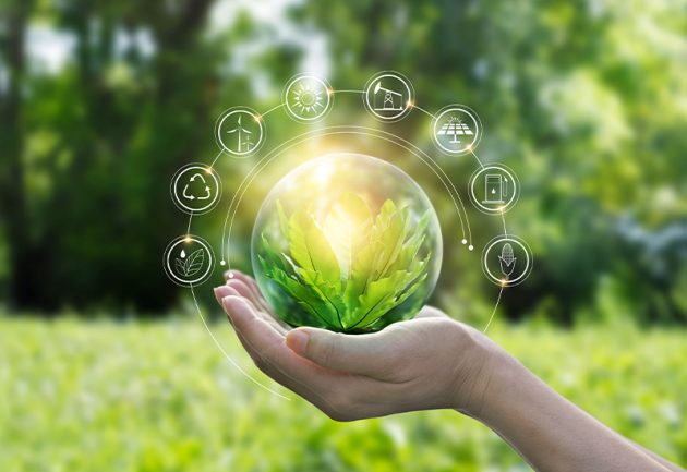 Consumers expect business to lead on sustainability – report