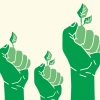 Sustainability: The green wholesale revolution