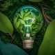Thinking Green: The latest news from Collective members